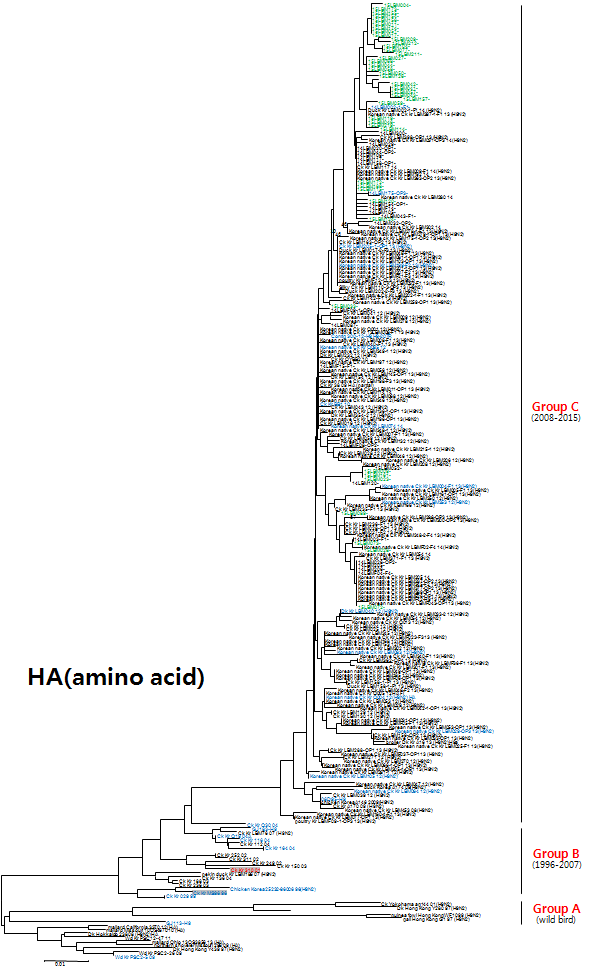 H9N2 바이러스의 근연관계 분석(amino acid)