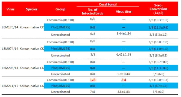 주요 H9N2 바이러스에 대한 cecal tonsil에서의 방어능 평가 비교