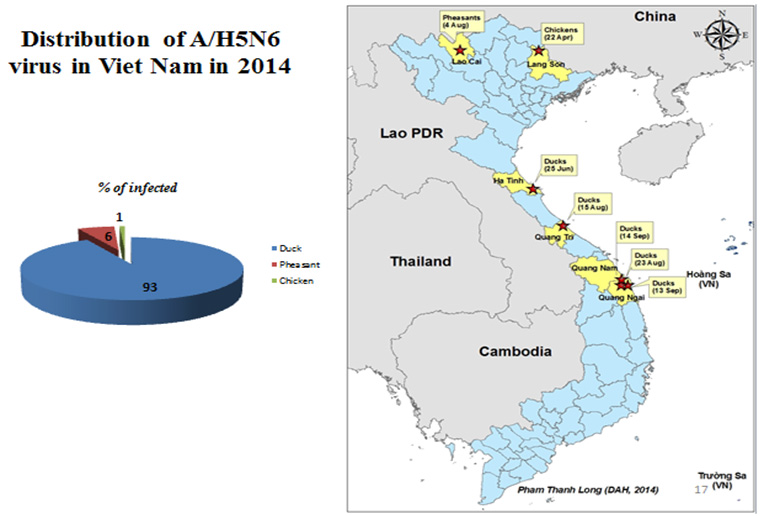 지역별 베트남 H5N6 HPAI 분포