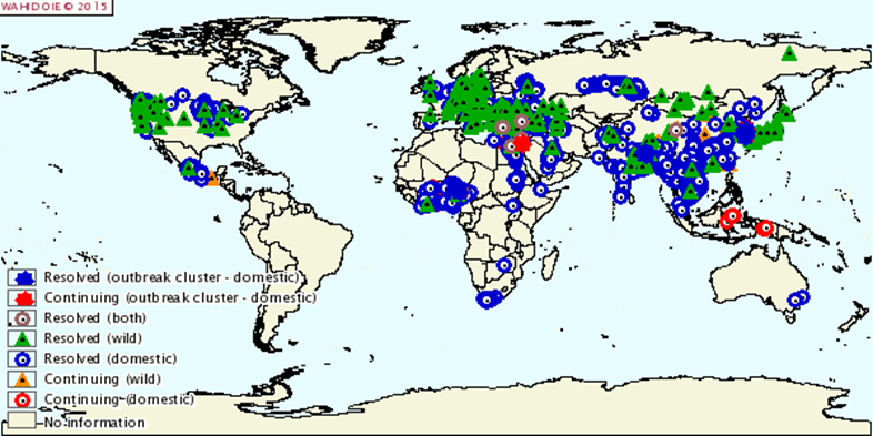 2003-2015년 전세계 HPAI 발생 동향