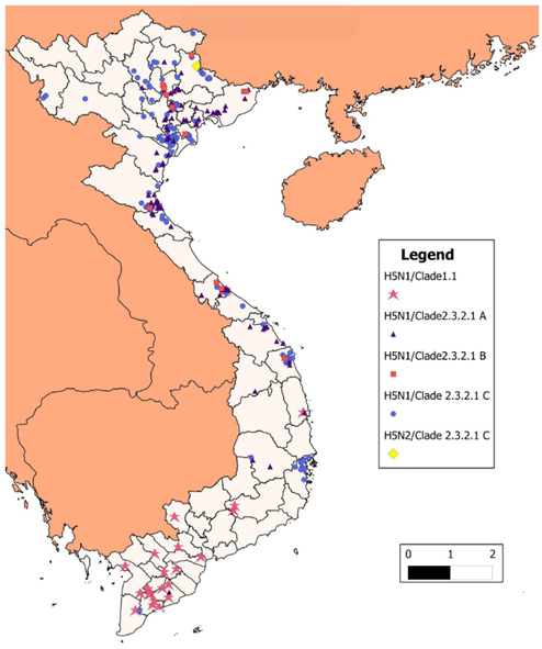 지역별 베트남 H5N1 HPAI 분포