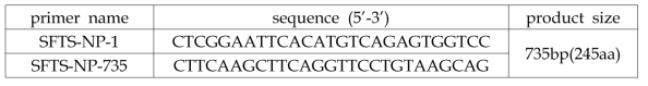 SFTSV의 NP 유전자 증폭을 위한 primer 서열
