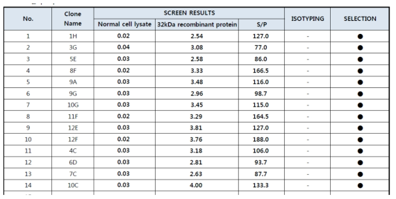 단일클론항체 선발 결과 요약 (14개 클론 선발)