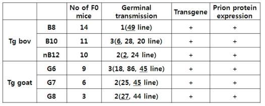 소 및 염소 형질전환 마우스 모델 현황