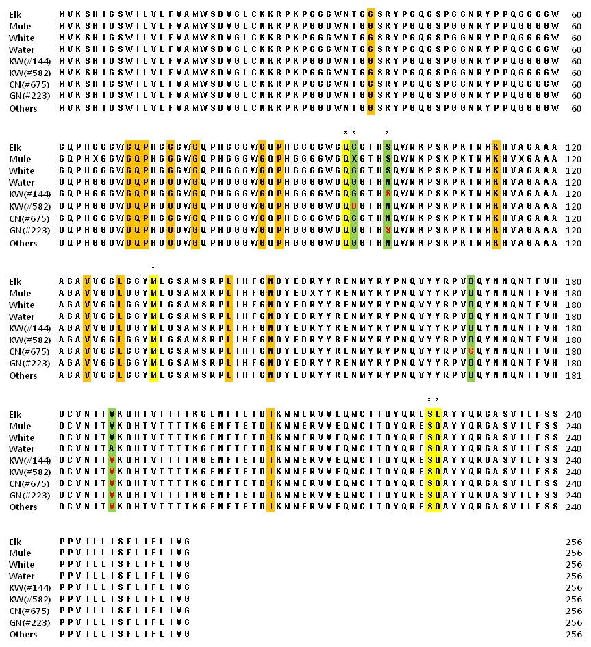 Analysis of amino acid sequence of water deer PNRP. Amino acid sequences of the PRNP of American elk(Cervus elaphus nelson, AF016227), mule deer(Odocoileus hemionus, AF009181), white-tailed deer (Odocoileus virginianus, AY275711), Korean water deer(Hydropotes inermis argyropus, DQ358969.1) were compared with that of water deer. Amino acids at 77, 95, 96, 100, 132, 225, and 226 residues marked by asterisks are known to be closely related with CWD susceptibility. New polymorphism were found at 4 sites(green color, red character) and silent mutation were observed at 13 sites(orange color)