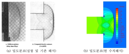 수치해석 검증을 위한 밀도분포 비교