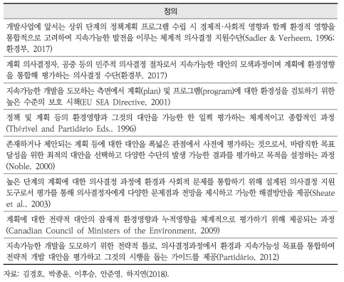 국내외 전략환경영향평가에 대한 다양한 정의