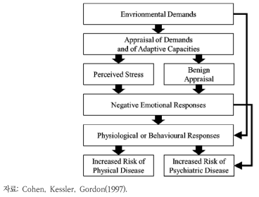 스트레스 측정을 위한 환경적, 심리적, 생물학적 접근들을 통합하는 스트레스 발생과정의 발견적 모델