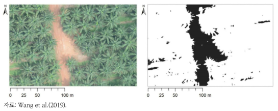 드론 영상에서의 기름 야자나무 분류