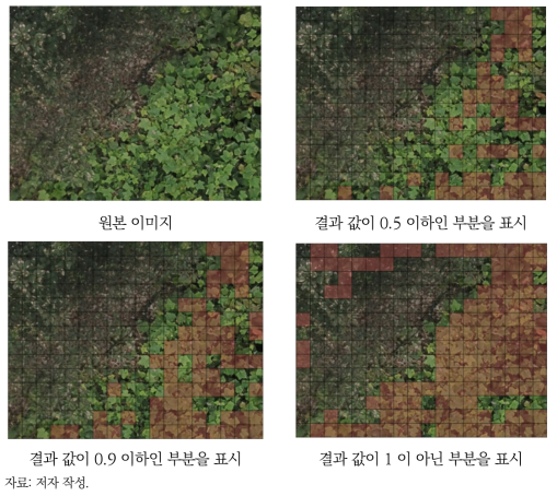 실제 가시박 이미지 분류 결과