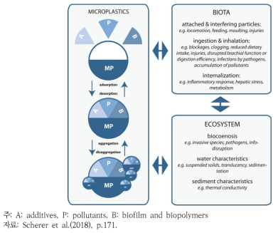 미세플라스틱의 물리·화학적 영향