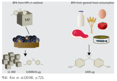 비스페놀A의 섭취량 산출