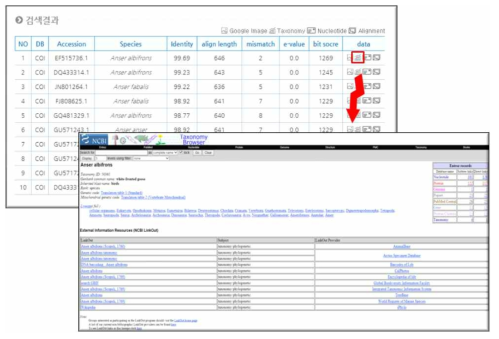 Taxonomy 확인을 위한 NCBI 연계 방안