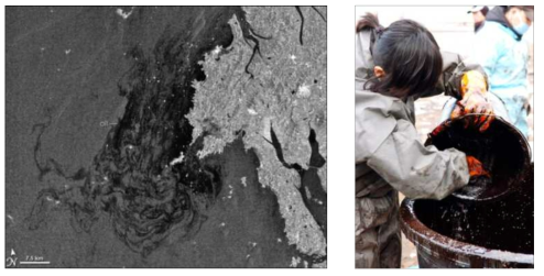 허베이 스피리트호 기름유출로 인한 태안반도 피해지역 위성사진 및 피해지역 내 실제 기름제거 작업 모습