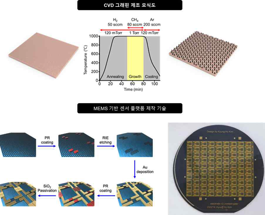 화학기상증착법 기반의 그래핀 제조 방법 (상) 및 그래핀 마이크로 패턴 기반의 센서 플랫폼 제작 모식도 및 결과 (하)