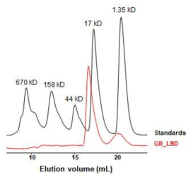 GR-LBD 단백질의 size-exclusion chromatogrpahy 분석을 통한 분자량 측정