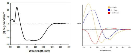 GR-LBD의 원편광이색분광기(Circular Dichroism)를 이용한 단백질 폴딩 분석 (좌), 스탠다드 단백질의 CD 스펙트럼 (우)