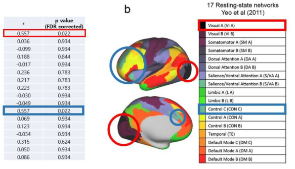 BC from Yeo17 atlas is significantly correlated with cortisol level