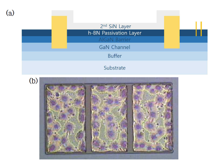 Active Region Definition. (a) Schematic cross-section, (b) lithography 공정 후 광학현미경 사진