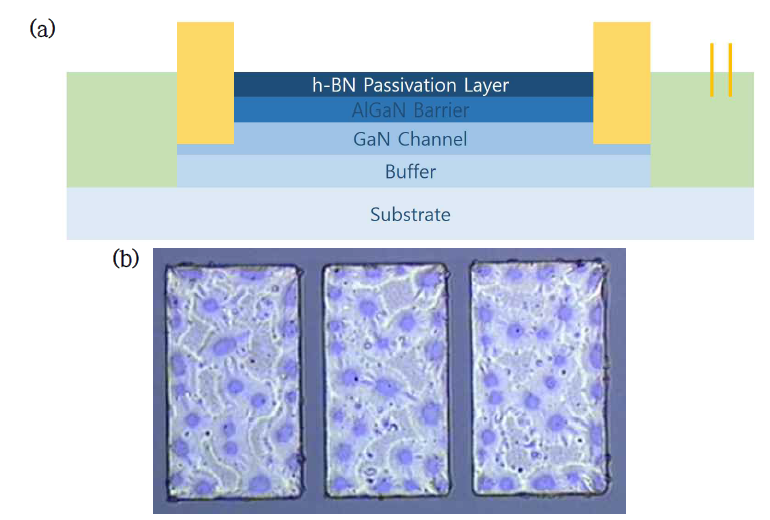 2nd SiN Removing. (a) Schematic cross-section, (b) 2nd SiN 박막 제거 후 광학현미경 사진