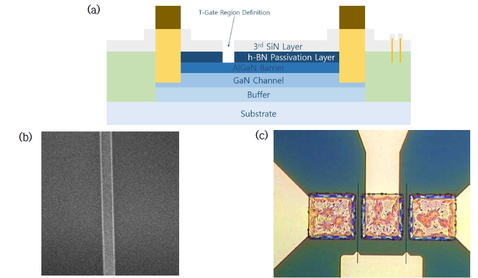 T-Gate Region Definition. (a) Schematic cross-section, (b) 식각하기 전 T-Gate의 foot 영역을 CD-SEM을 사용하여 관찰한 사진, (c) 식각 후 T-Gate의 foot 영역을 광학현미경으로 관찰한 사진