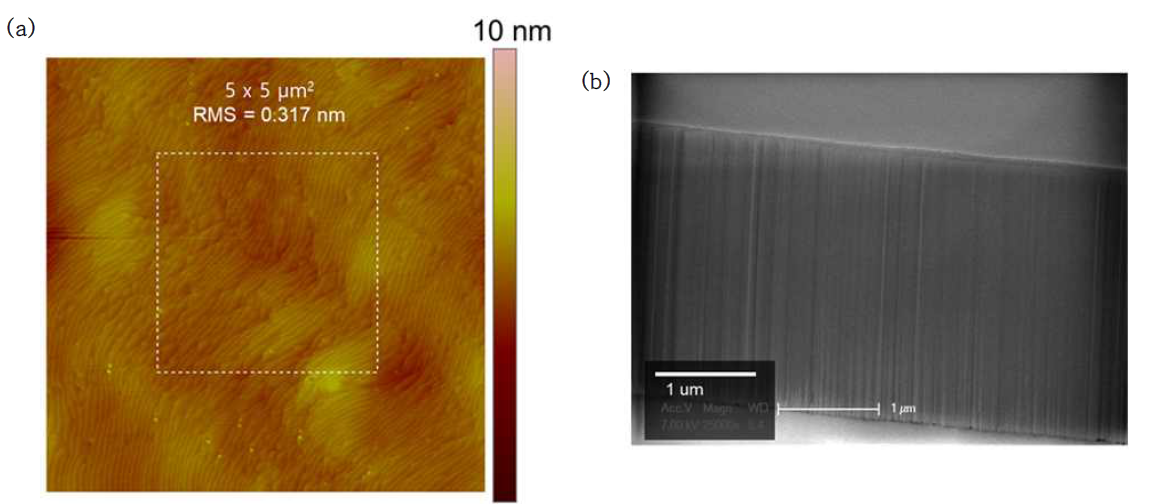 고품질 epi-ready AlGaN(~ 30 nm)/GaN 기판의 (a) AFM image (표면 조도 ~0.317 nm)와 (b) cross-section SEM image