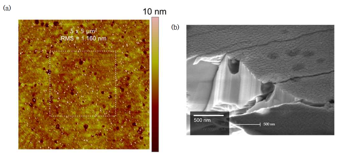 고품질 epi-ready AlGaN(~ 30 nm)/GaN 기판 위 H2 분위기에서 성장된 육방정 질화붕소 박막의 (a) AFM image (표면 조도 ~1.160 nm)와 (b) cross-section SEM image