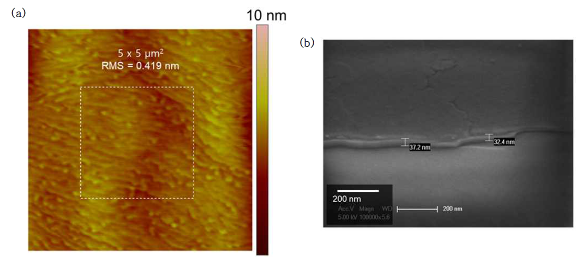 고품질 epi-ready AlGaN(~ 30 nm)/GaN 기판 위 H2 & N2 혼합 분위기에서 성장된 육방정 질화붕소 박막의 (a) AFM image (표면 조도 ~ 0.419 nm)와 (b) cross-section SEM image