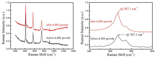 질화붕소 보호층 성장 전과 후의 Raman 측정 결과