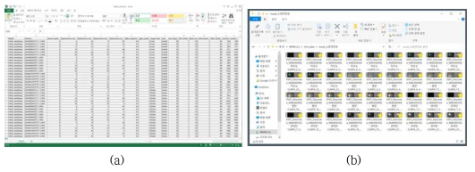 Batch 모드 실행 결과. (a) Batch 모드 입력 엑셀 파일, (b) Batch 모드 출력 결과