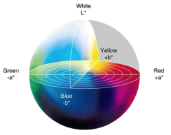 La*b* 색공간