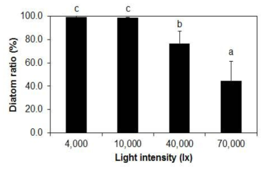 흰색 LED 세기(4,000∼70,000 lx)에 따른 파판에 부착된 규조류의 비율(%)