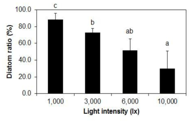 흰색 LED 세기(1,000∼10,000 lx)에 따른 파판에 부착된 규조류의 비율(%)