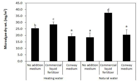 수온과 영양염류별 부착 조류의 건중량 비교 (No addition medium, Commercial liqid fertilizer (Campusal), Conway medium)