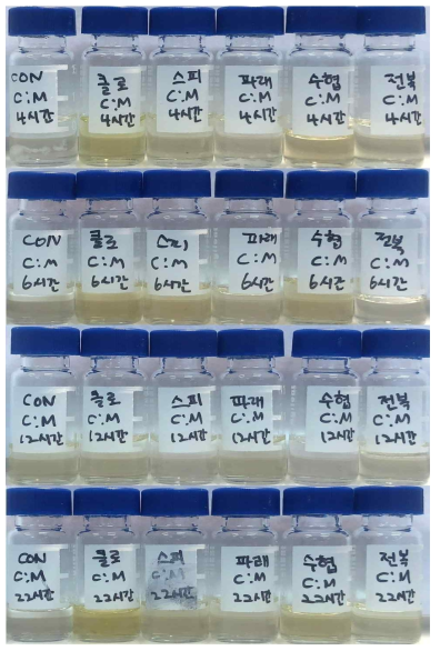 8주간의 사육실험 종료 후 각고 1.0-1.5 cm 참다슬기 가식부의 사료 공급 시간별 C:M (2:1, v:v) 혼합액 색소 추출 결과