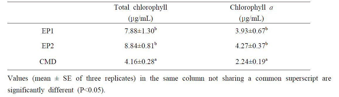 8주간의 사육실험 종료 후 주름다슬기 가식부 chlorophyll 함량 분석 결과