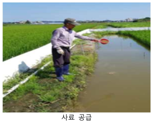 틸라피아-참게 방사구 사료 공급