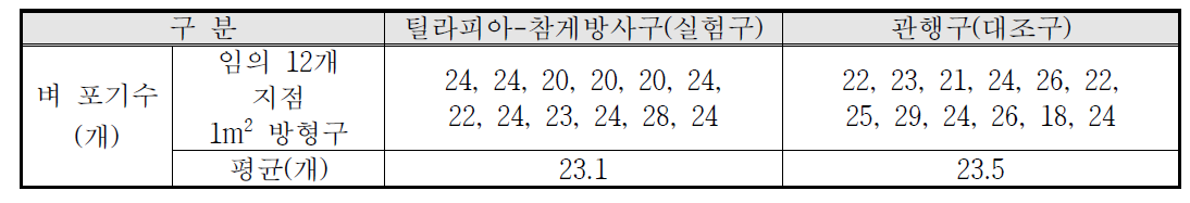 1m2 방형구 벼 포기수 비교