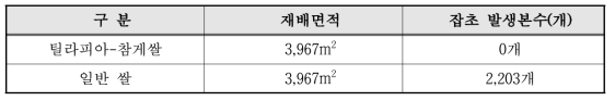 틸라피아-참게쌀과 일반 쌀의 잡초 수 비교