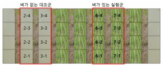 벼 유무별 실험구역 모식도