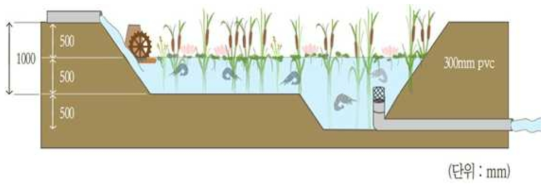 큰징거미 새우 양식장 단면도(세부)