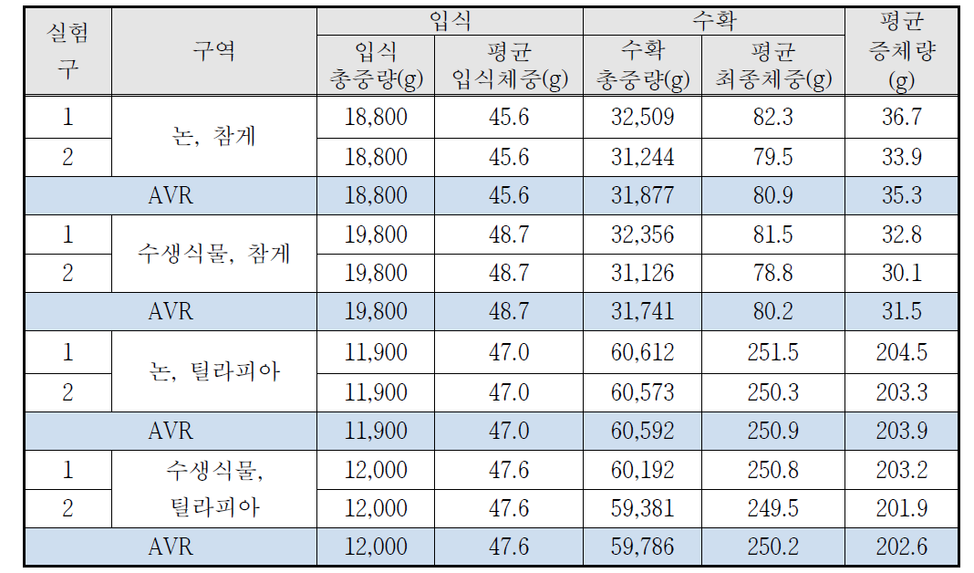 논 생태 현장 적용 양식의 참게와 틸라피아 증체량