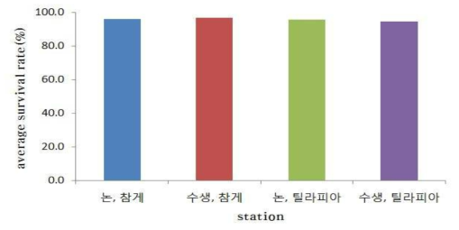 논 생태 양식 현장적용 실험 평균 생존율