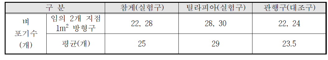 1m2 방형구 벼 포기수 비교