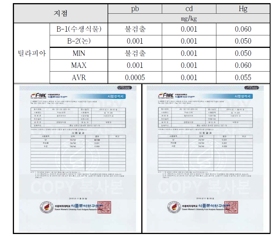 틸라피아 중금속 분석결과