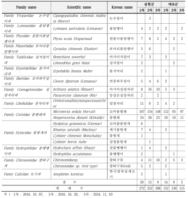 일반경작지와 친환경 논생태양식 시스템 내에서 1차시기 관찰된 수서생물의 종목록과 개체수