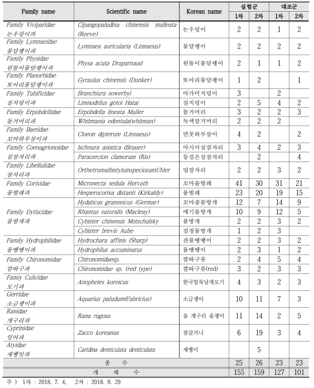 일반경작지와 친환경 논생태양식 시스템 내에서 3차시기 관찰된 수서생물의 종 목록과 개체수