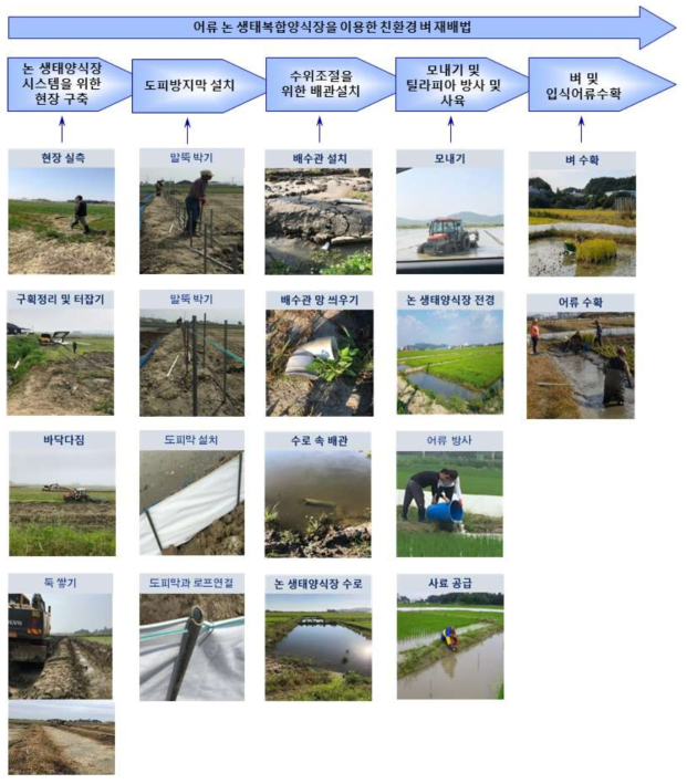 논 생태복합양식장 시스템구축 방법과 어류 입식 및 벼 재배법 매뉴얼