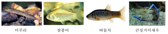 융복합 친환경 생태양식 적용 양식 대상종(국립수산과학원)