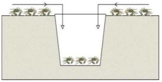 참게 포획장치 고안 1
